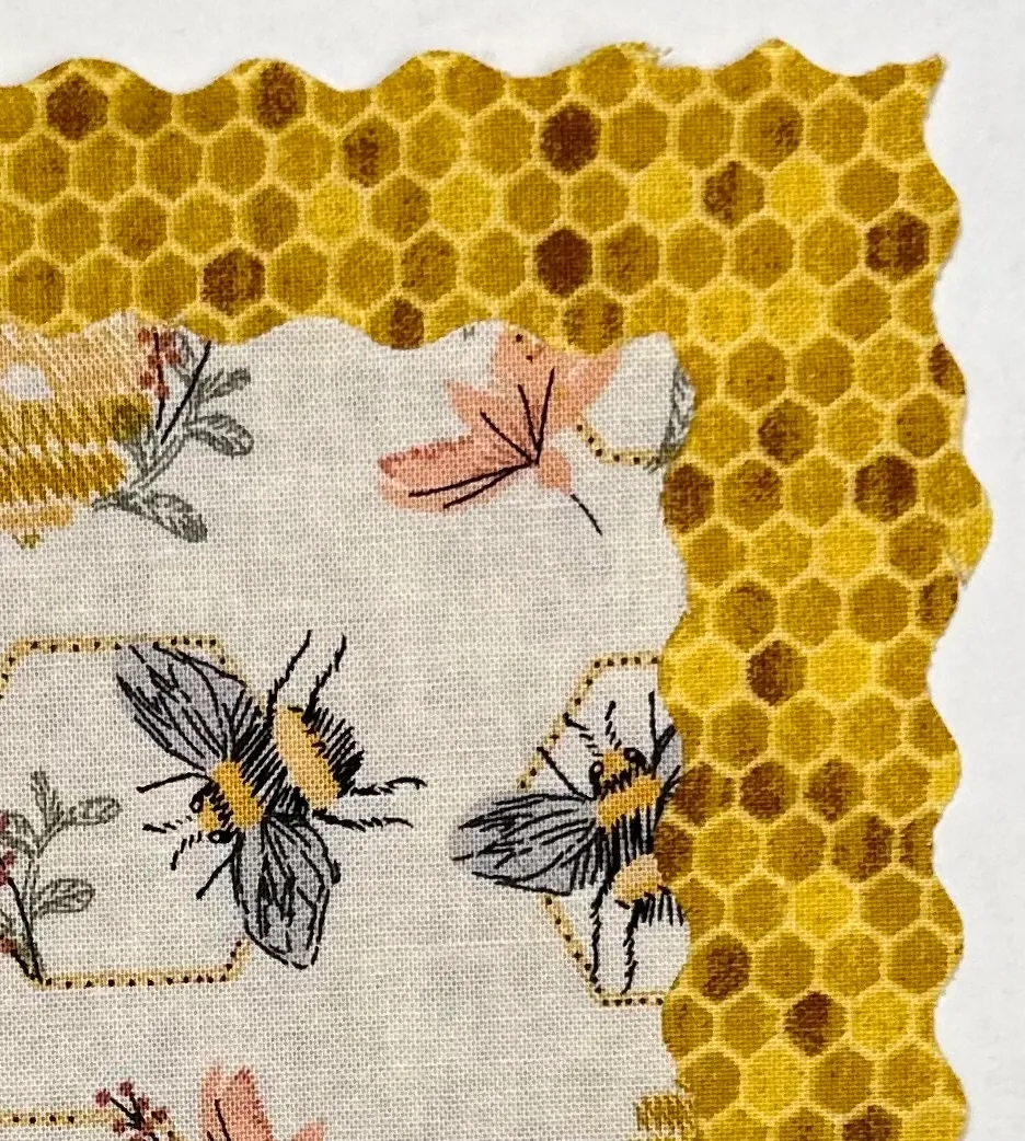 Bee Hexagon and Brown Honeycomb
