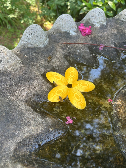 Bee Pontoon